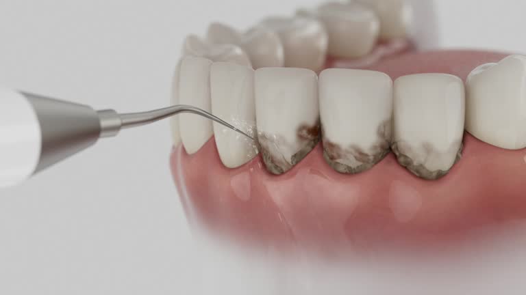 Reliable Dental contractor in Springfield, GA by Dentist Open Now